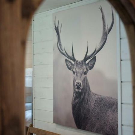 Chalet Le Grand Cerf Бюллинген Экстерьер фото