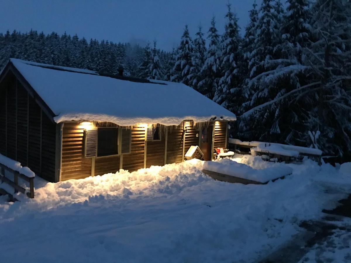 Chalet Le Grand Cerf Бюллинген Экстерьер фото