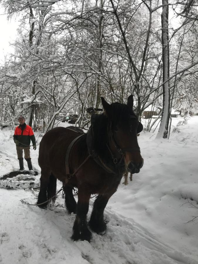 Chalet Le Grand Cerf Бюллинген Экстерьер фото