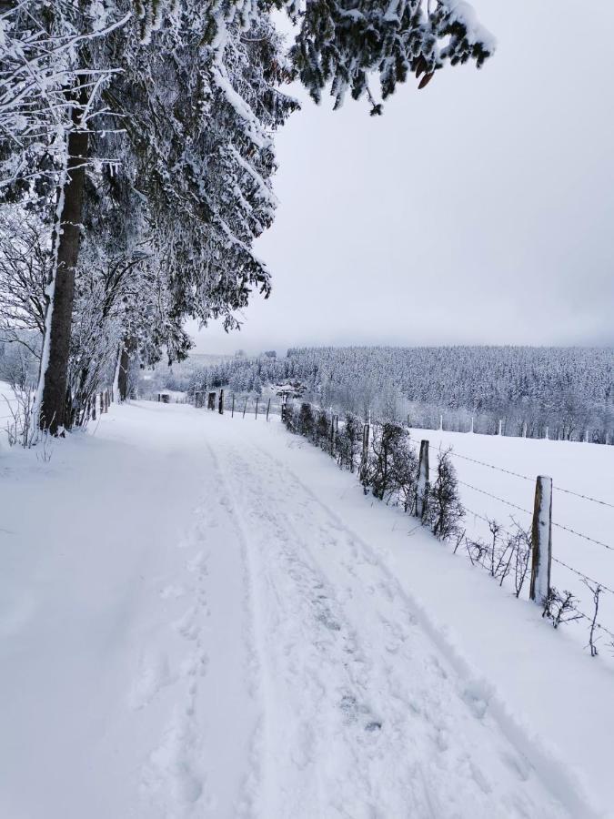 Chalet Le Grand Cerf Бюллинген Экстерьер фото