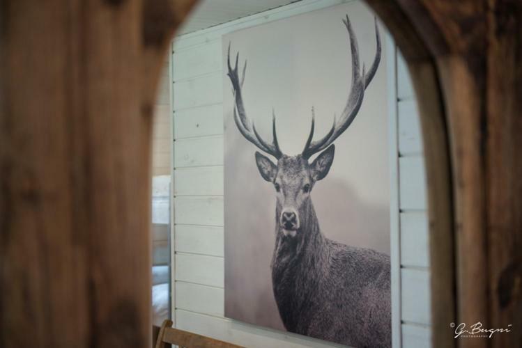 Chalet Le Grand Cerf Бюллинген Экстерьер фото